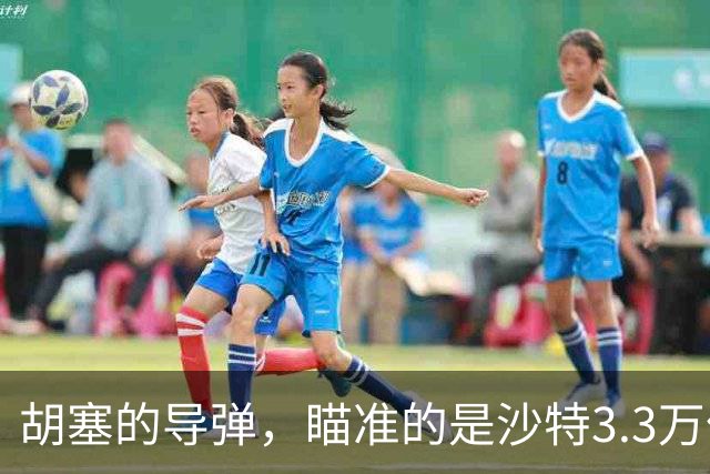 胡塞的导弹，瞄准的是沙特3.3万亿美元的“2030愿景”